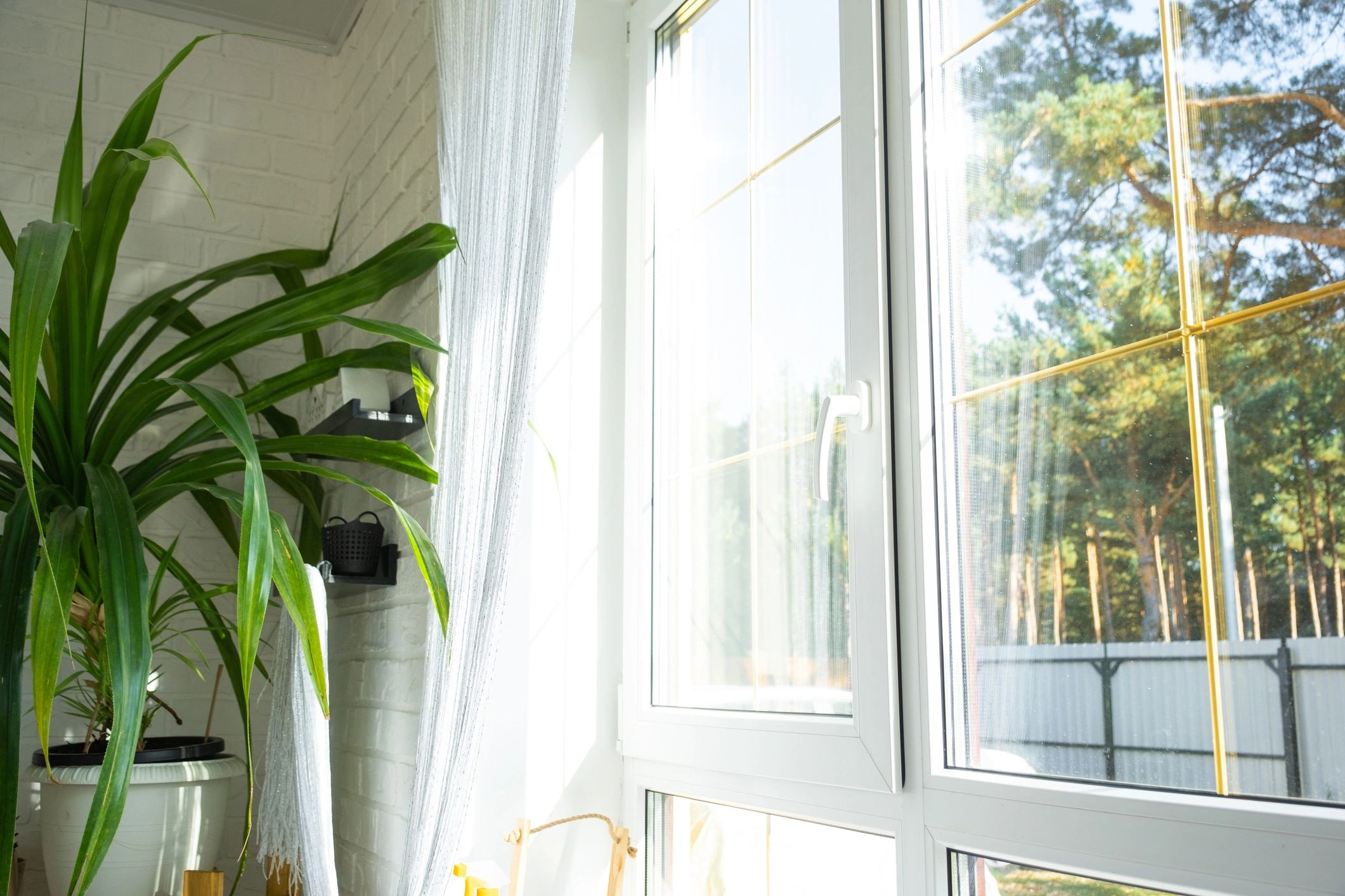 clean home windows sunlight